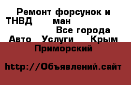 Ремонт форсунок и ТНВД Man (ман) TGA, TGL, TGS, TGM, TGX - Все города Авто » Услуги   . Крым,Приморский